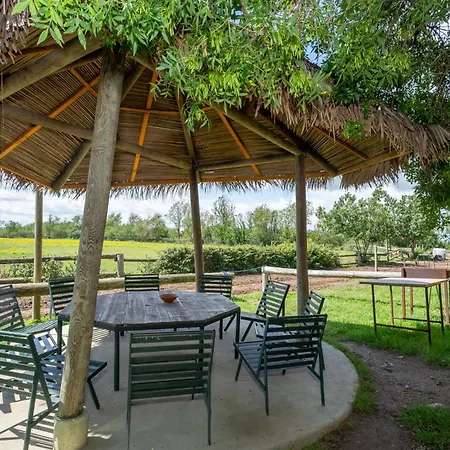 Yeguada Senillosa - Casa di campagna