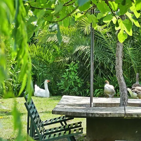 Casa di campagna Yeguada Senillosa -