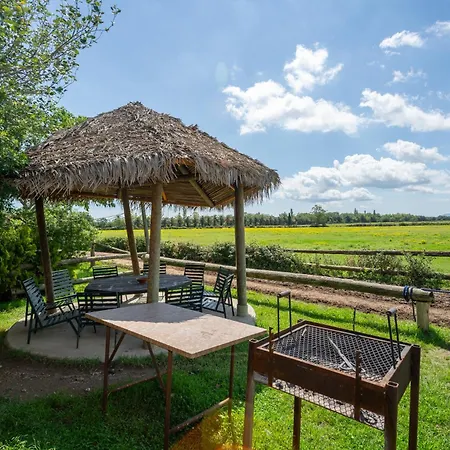 Yeguada Senillosa - Turismo Rural