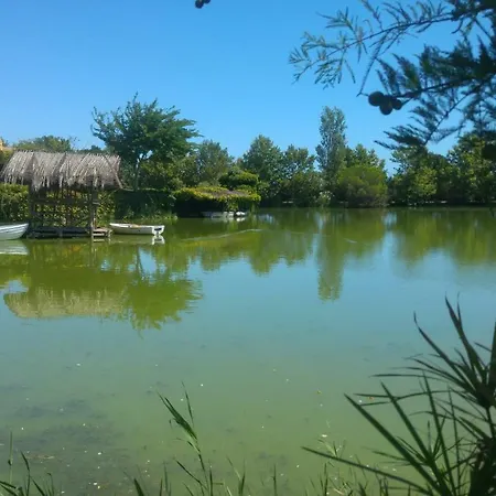 Yeguada Senillosa - Turismo Rural *