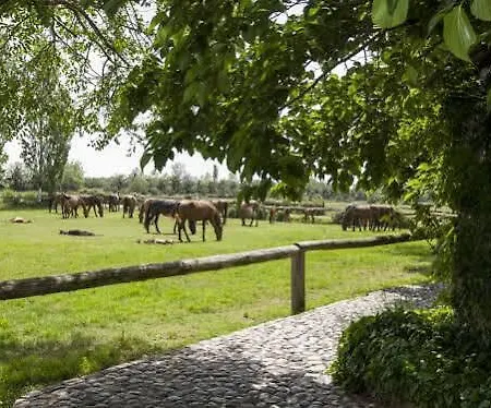 منزل ريفي Yeguada Senillosa - Turisme Rural *