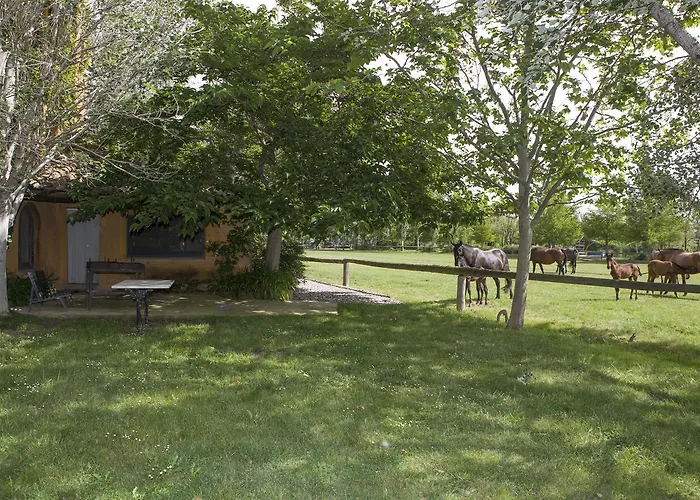 Yeguada Senillosa - Turisme Rural * קסטלו דה אמפוריאס