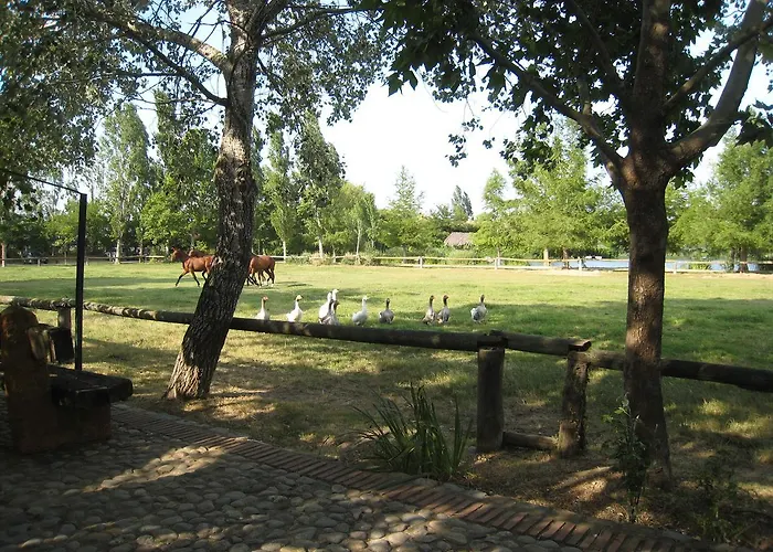 בית כפרי Yeguada Senillosa - Turisme Rural קסטלו דה אמפוריאס