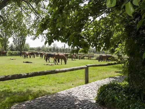 בית כפרי Yeguada Senillosa - Turisme Rural *